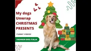 My dogs unwrap christmas