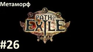 В поисках Заны - Path of Exile (HC, Metamorph/Метаморф) #26