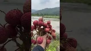 #xiteez #travel #nature #15promax