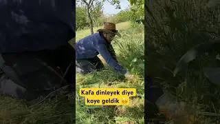 Kafa dinleyek diye koye geldik ellerimiz su topladı 🥴 #köy