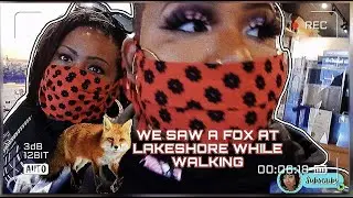VLOG #1: ME AND MY HOME GIRL SEEN A FOX