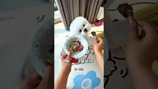 Hoy la pequeña perrita tiene mucho sueño. 🥱🐶💕 