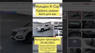 Підбірка цікавих варіантів з аукціонів Південної Кореї 04.06.2024