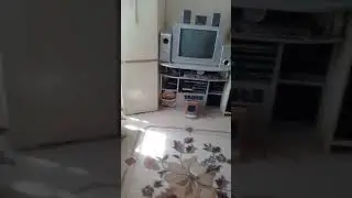 Правильное подключение саба и колонок звук бомба