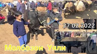 Молбозори Уяли Бугахои калону майда гуночин гови чушо Кичкор бара барача серка 27 Феврал 2022 г.