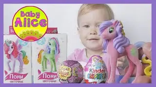 Sweet Box Pony; Kinder Surprise egg Palace Pets of Disney Princess; Chupa Chups Winx