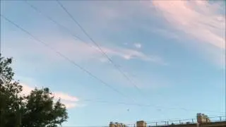 Гости с залива. Чайки раскричались...