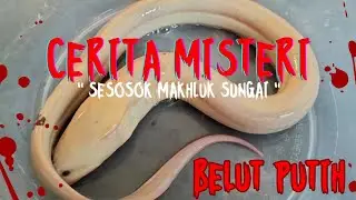 MITOS DIBALIK BELUT PUTIH