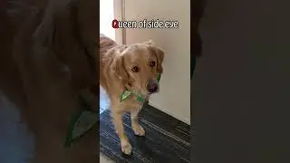 The Alphabet of Ellie