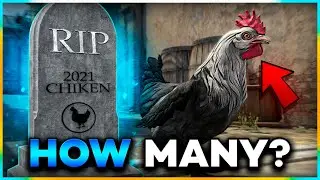 630+ Seconds of Useless information about CS:GO