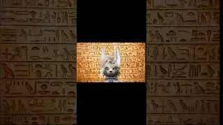 #videoshort #ankhazone # #vrchat #furry # #game #shorts