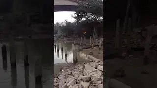 Жгут мусор река Кубань