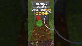 Прощай дружок ты останешься в сердцах😭😣❤❤❤❤❤😿