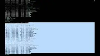 Install Magento 2 on local machine with Warden [Docker]