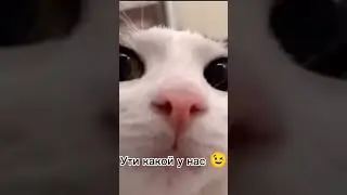 спасибо, дура 🙃 