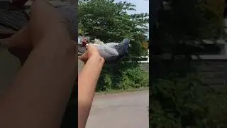 PASANG SAWANGAN HATONG MERPATI