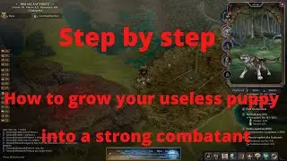 Evolving Ovie Step By Step Guide