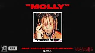 Trippie Redd x Miss The Rage Type Beat 2021 Free - 