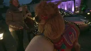 2020 metų Glimstedt Christmas Drive In