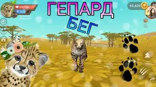 WildCraft ГЕПАРД ДВИЖЕНИЕ 😍