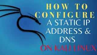 How To Configure A Static IP Address and DNS on Kali Linux