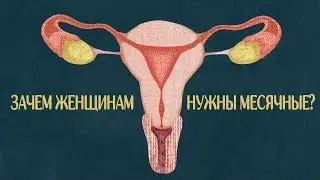 Зачем женщинам месячные?