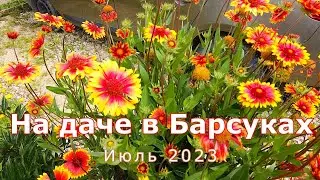 Под Тулой на даче в Барсуках. 12 07 23