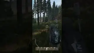 Пищевое отравление - Dayz 