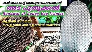 Renewal of honey bee frames combs cerana indica beekeeping അടപുതുക്കൽ agri monsy video