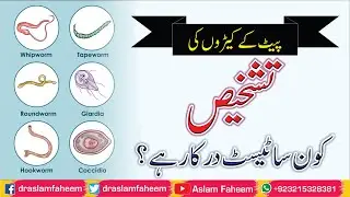 How can Diagnose Intestinal Worms |What Lab Tests Required  for Intestinal Worms