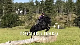 Forest Edge Arena Fun Day! Week 6 of Bellamy's rehab