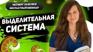 ВЫДЕЛИТЕЛЬНАЯ СИСТЕМА ЧЕЛОВЕКА | ЕГЭ | ОГЭ
