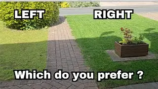 Don't cut your grass too short