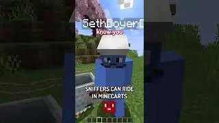 sniffers can ride minecarts?