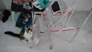 Choco