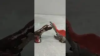 тиранозавр Рекс против спинозавра. Не вступайте в битву с рексом!