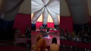 Экстремальный номер с крокодилом 