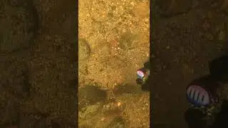 по реке под водой 