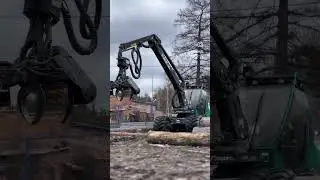 Не только машинки ведь выкладывать #harvester #machine #forest