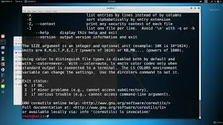06 Терминал и Linux команды