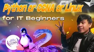 Python or CCNA or Linux for IT Beginners and Career Shifters