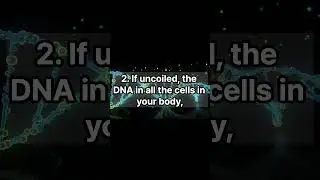 Weird Body Facts 