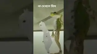 নাচের ভিডিও না দেখলেই মিস। #viralvideoreels #viral #funnyanimals #funnydance #funnyvideosclip #video