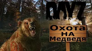 Охотимся на медведя в Dayz, или медведь на нас... #dayz #dayzstandalone #dayzgameplay