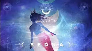 Piccaya - SEDNA (Original Mix)