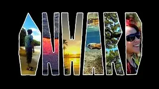 Dani Rosenoer - Onward [Lyric Video]