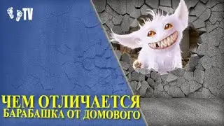 ЧЕМ ОТЛИЧАЕТСЯ БАРАБАШКА ОТ ДОМОВОГО | АНИМАЦИЯ
