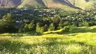 Asiq Qelender & Terane Gedebeyli - Qoca qartal