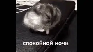 11 января 2023 г.