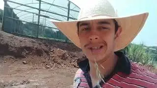 🚨a cobertura da casa ,já está pronta (roçavlog)#roça